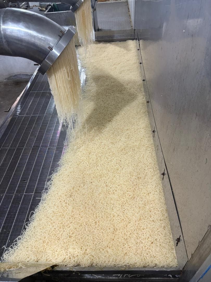 Dried bovine skin gelatin strands cascading from extruder chutes at Tianran Biotech, Jinja, Uganda