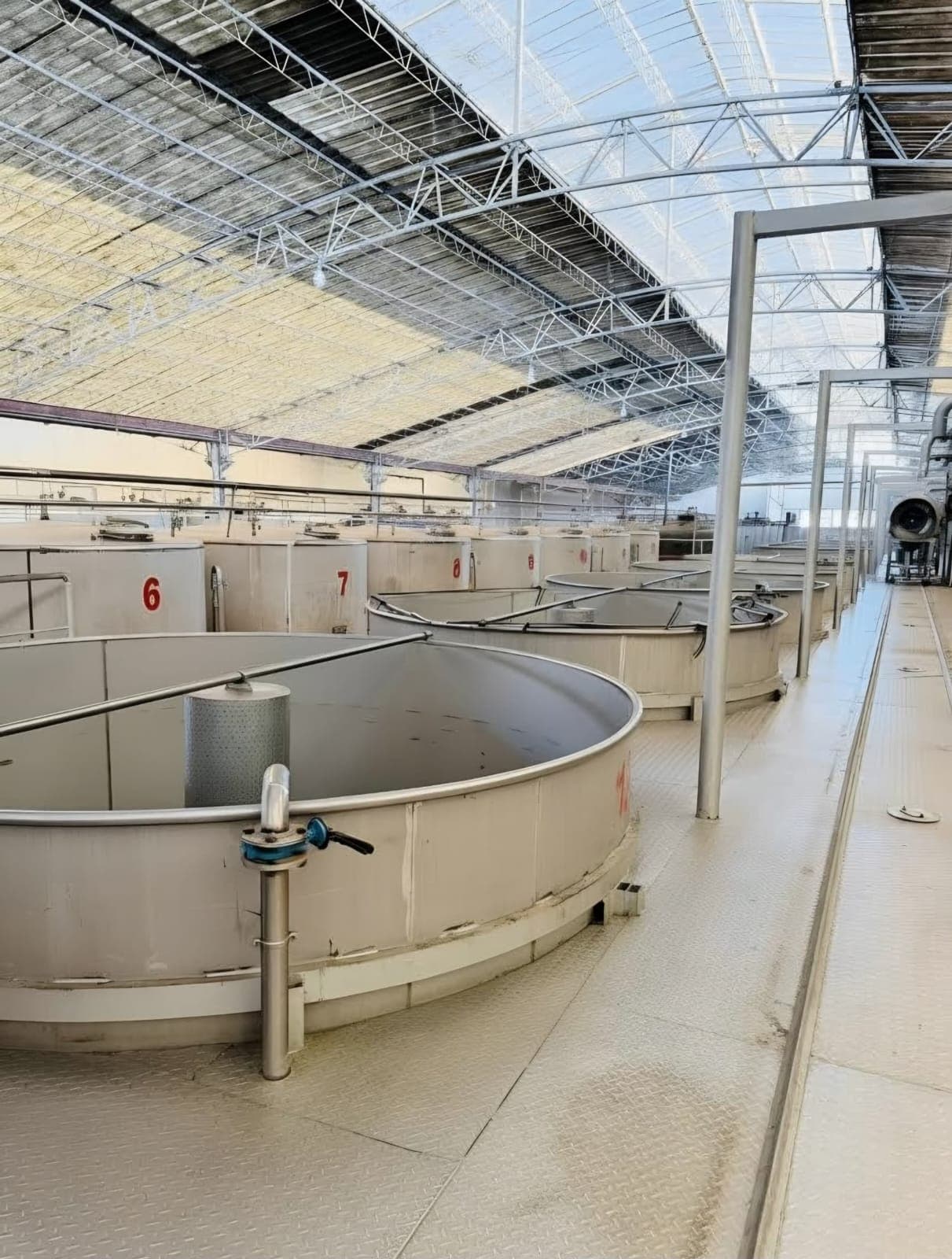 Array of numbered cylindrical extraction tanks under the sun-screen canopy at Tianran Biotech
